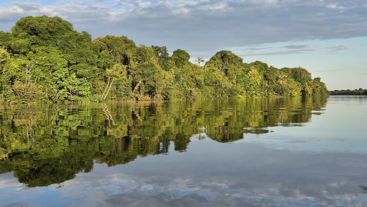 2025 – Brasile natura